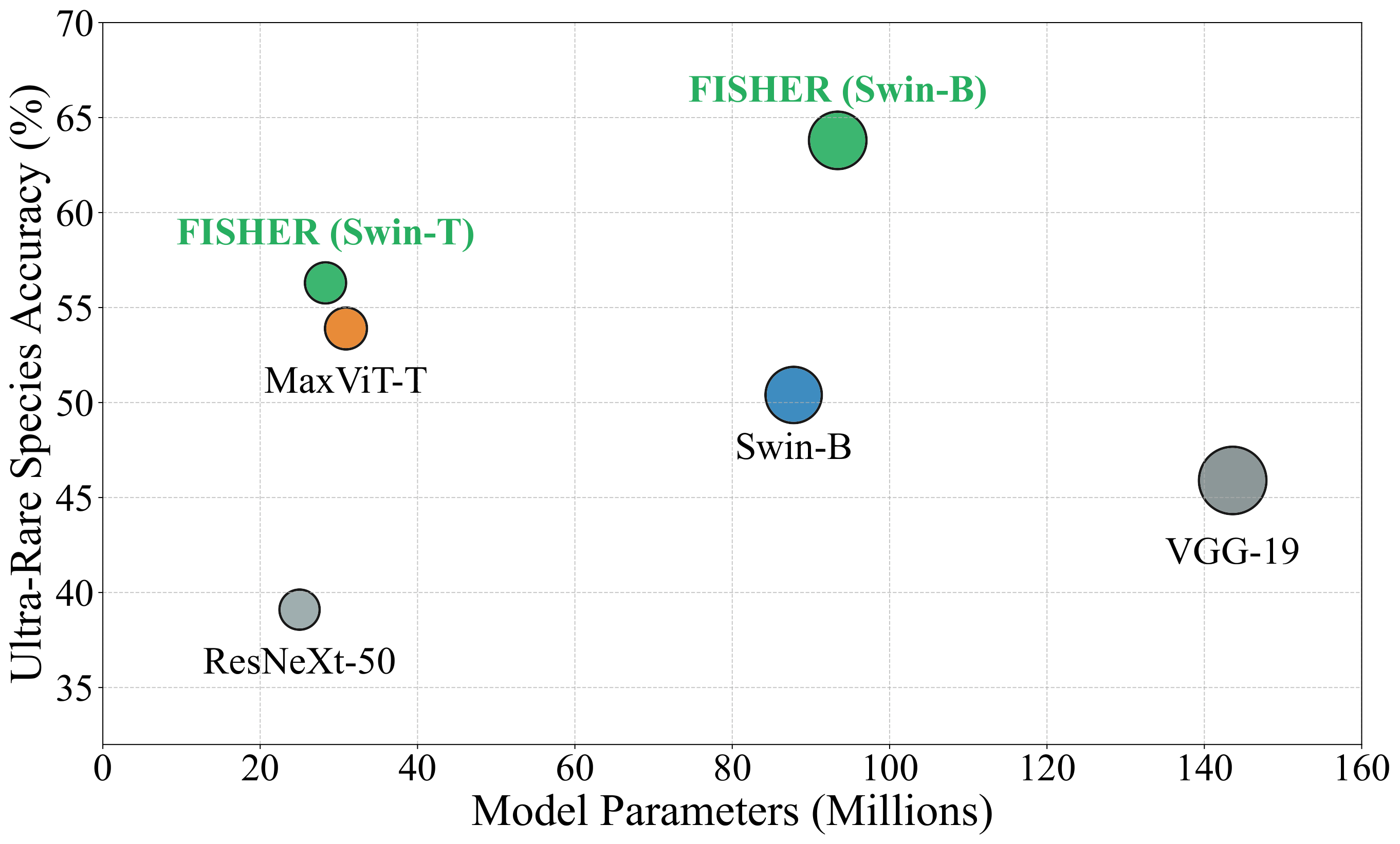 Ultra-rare species accuracy vs model size