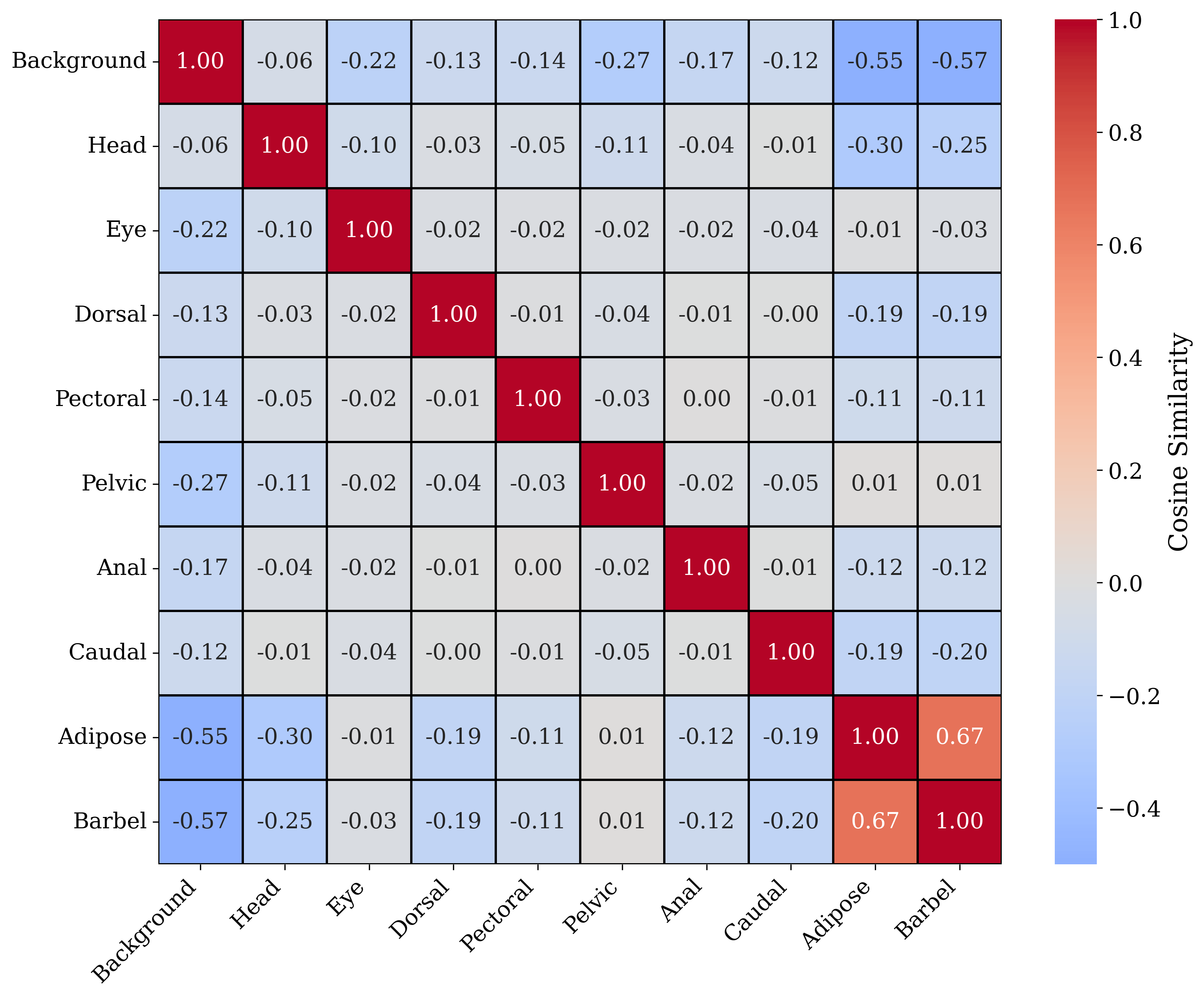 Prototype correlation matrix