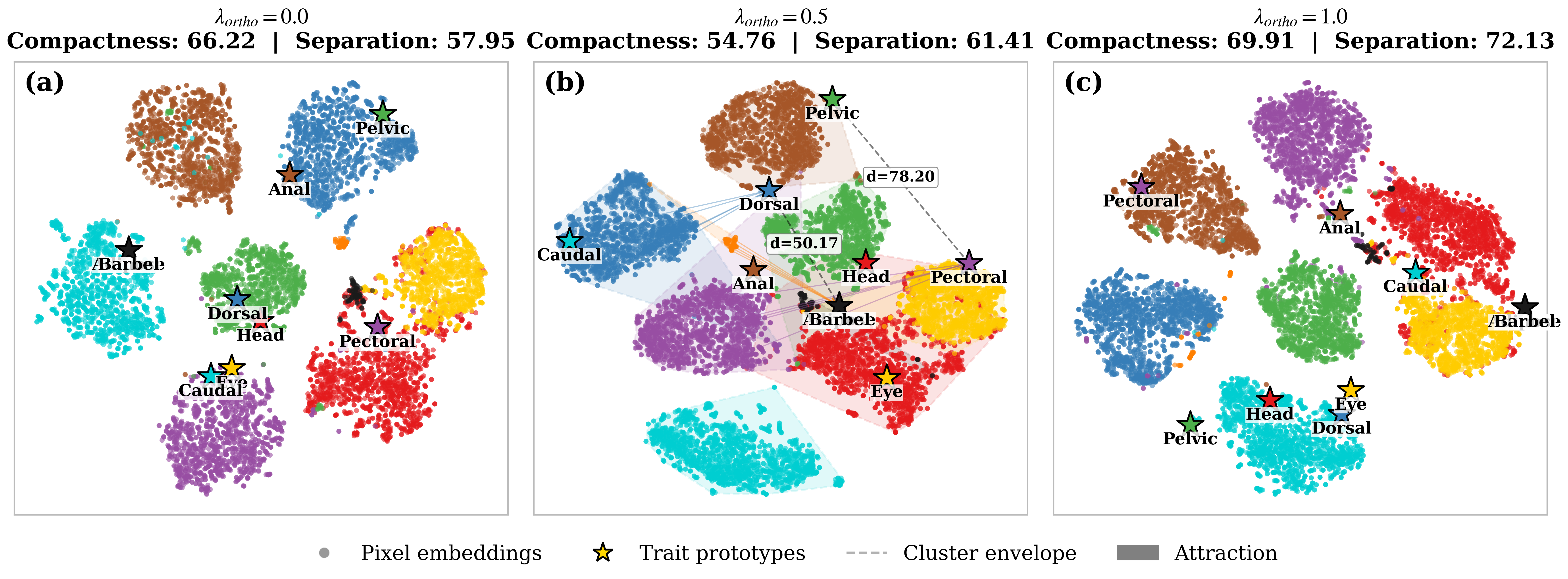 t-SNE embedding comparison between Standard MTL and FISHER